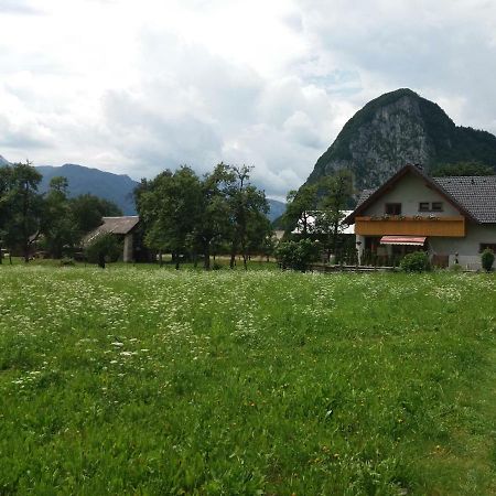 Apartmaji Bremec Bohinji-tó Kültér fotó