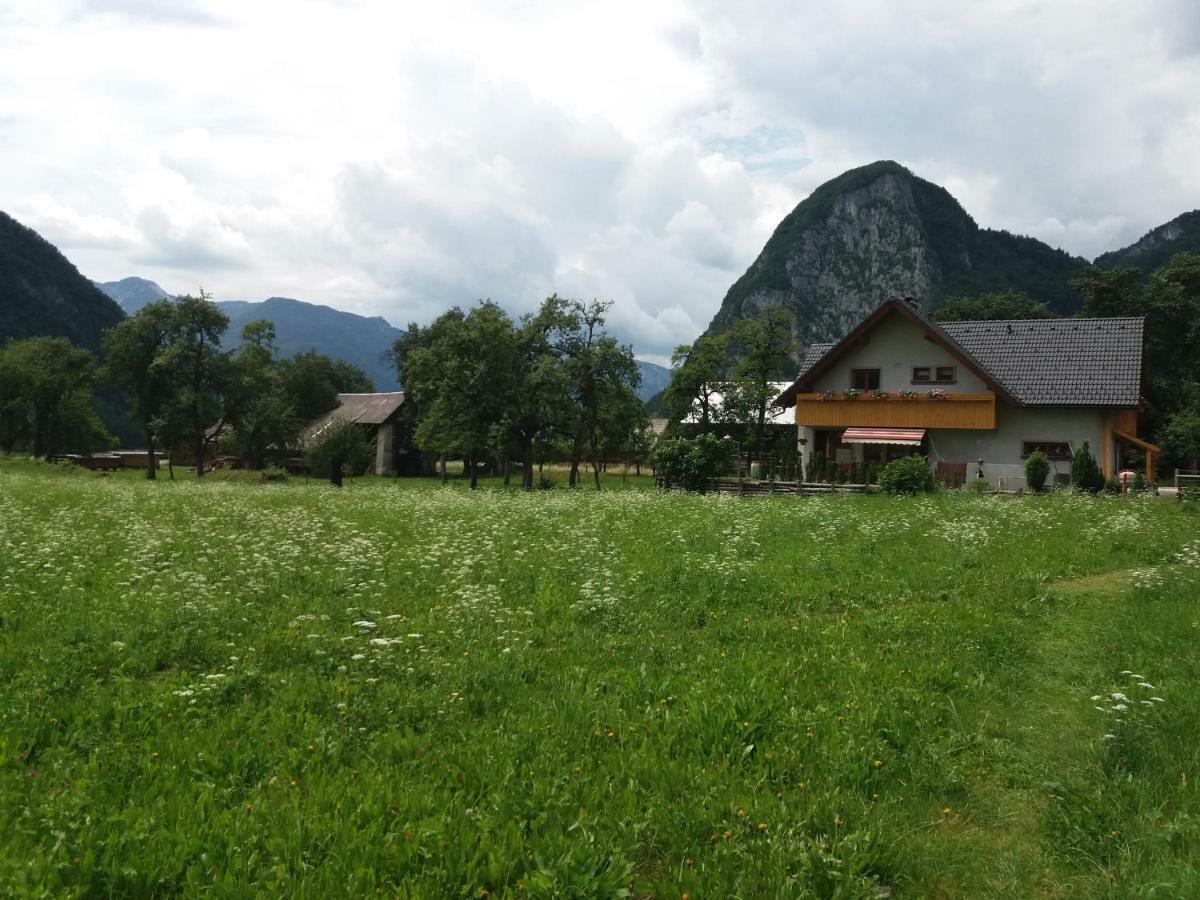 Apartmaji Bremec Bohinji-tó Kültér fotó